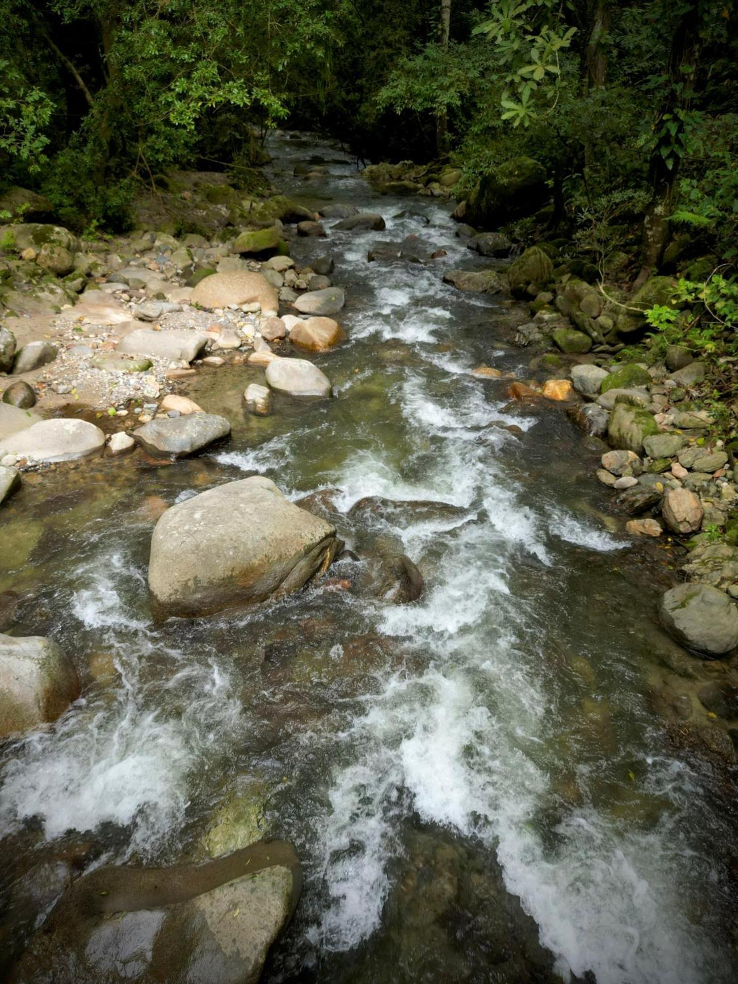 Las Cabanas Del Rio Minca Exterior foto